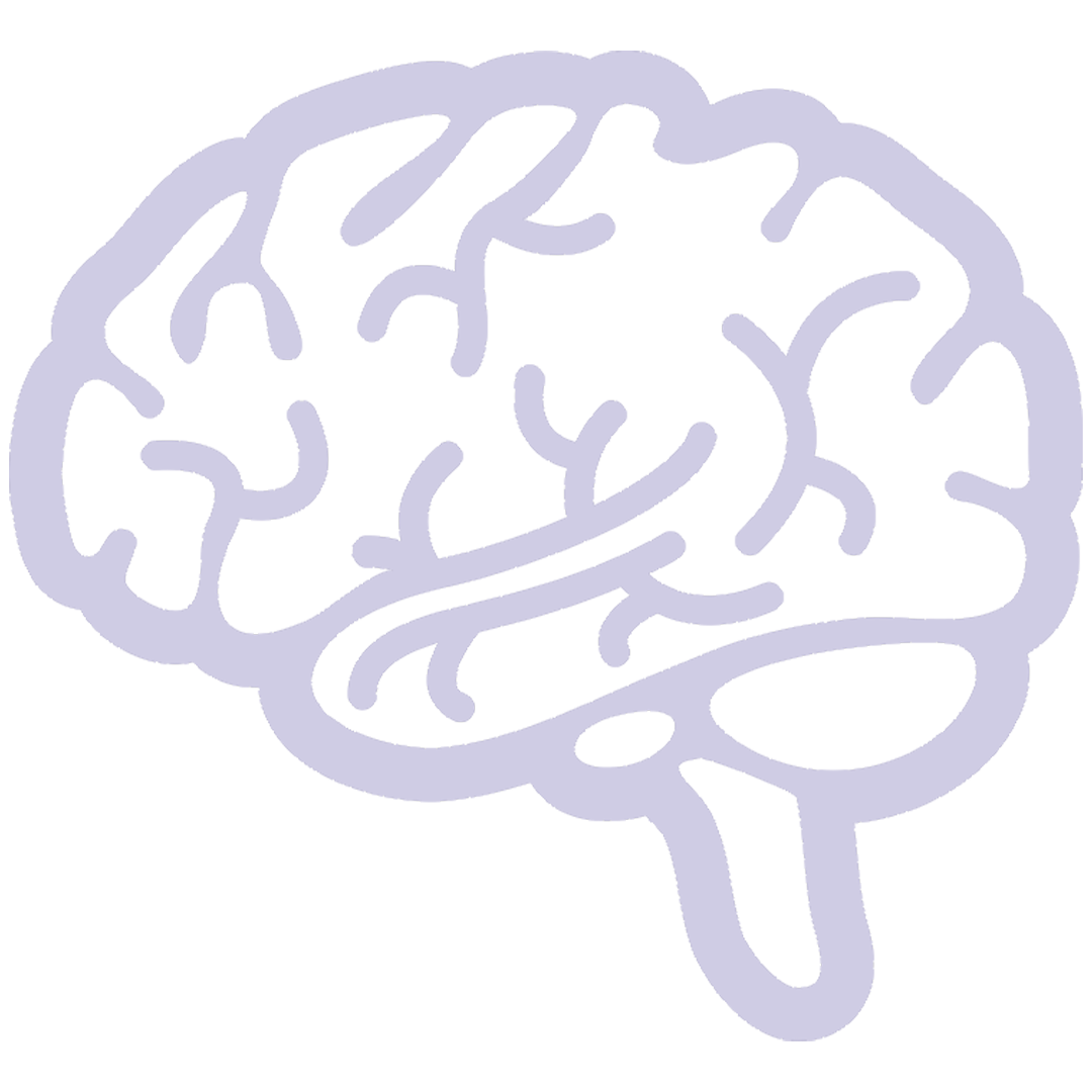 CognitiveEnhancement